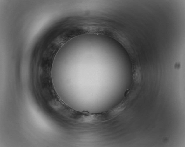 X0000111030430200906251309