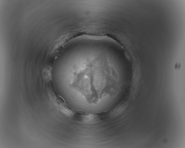 X0000111030432200906251309