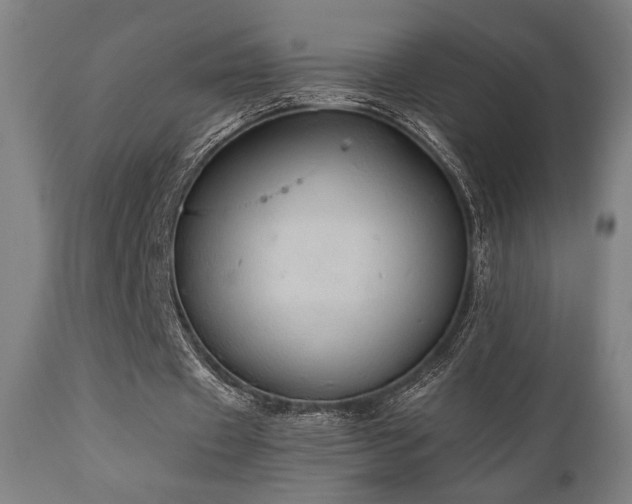 X0000111030433200906251308
