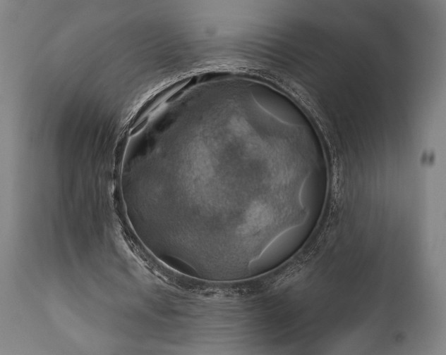X0000111030434200906251308