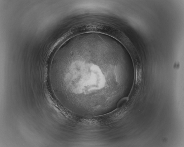 X0000111030435200906251308