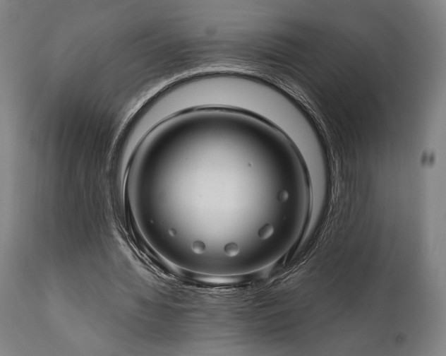 X0000111030436200906251308