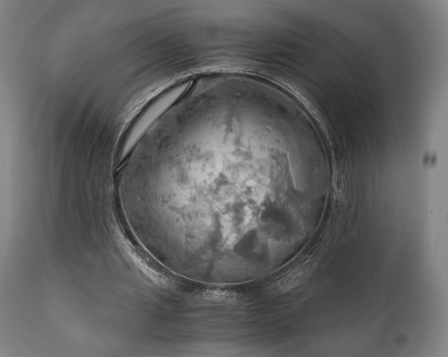 X0000111030437200906251308