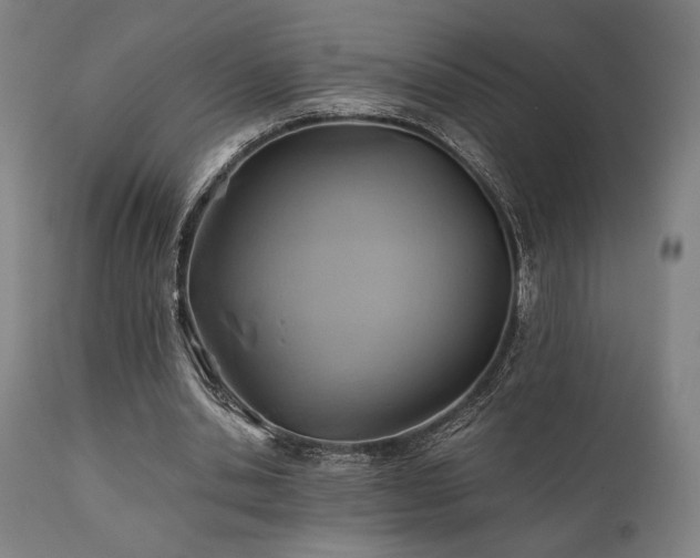 X0000111030438200906251308