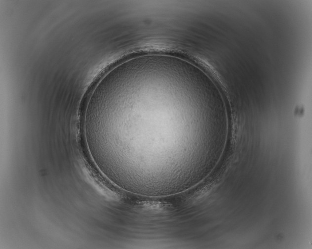 X0000111030439200906251308