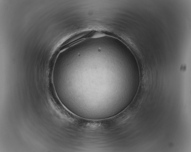 X0000111030440200906251308