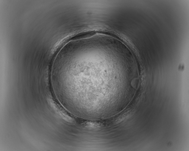 X0000111030442200906251308