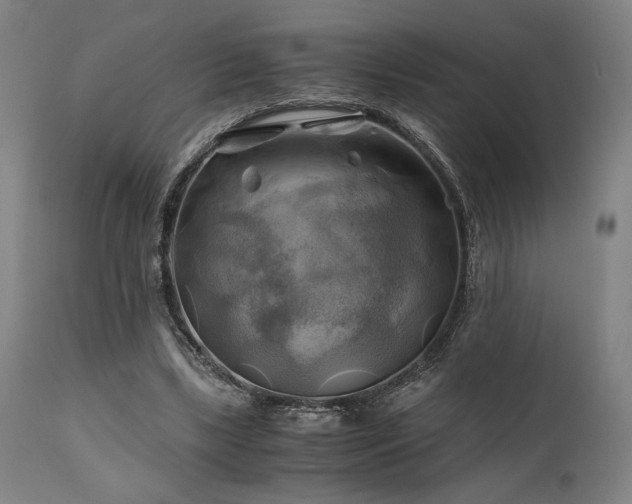 X0000111030443200906251308