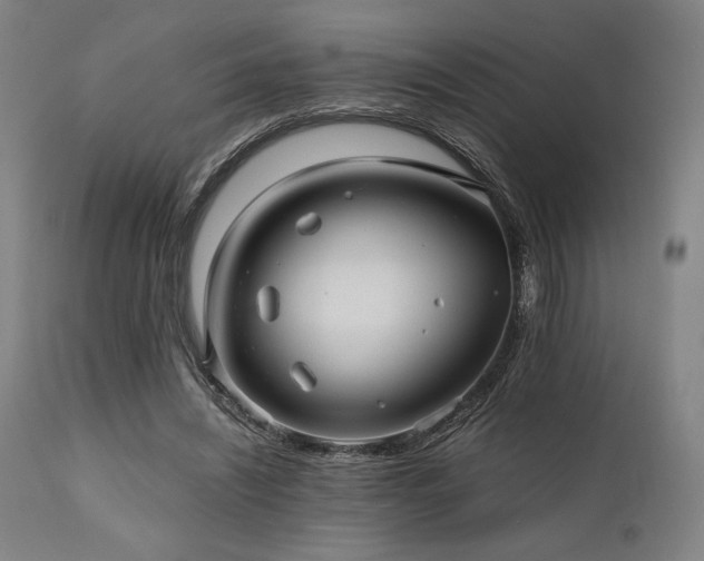 X0000111030444200906251308