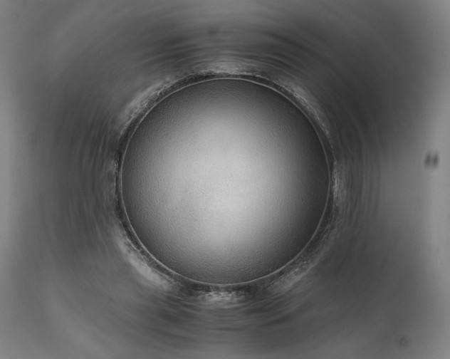 X0000111030445200906251309