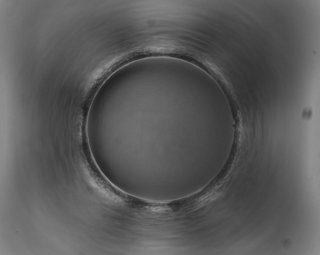 X0000111030446200906251309