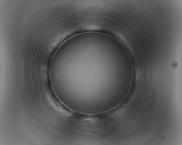X0000111030447200906251309