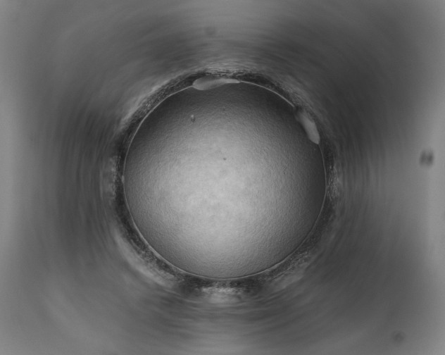 X0000111030448200906251309