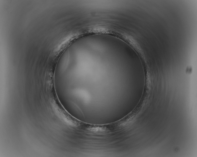 X0000111030449200906251309