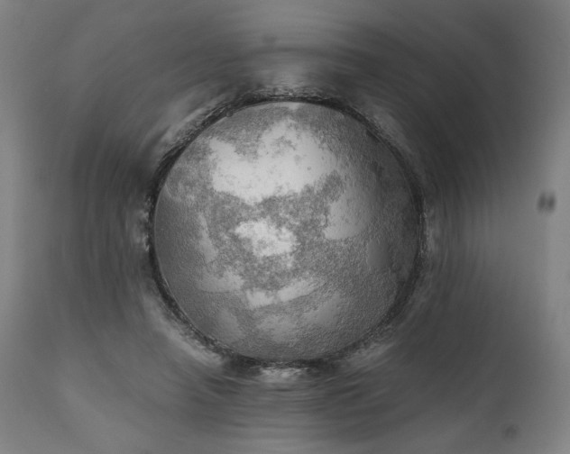 X0000111030450200906251309