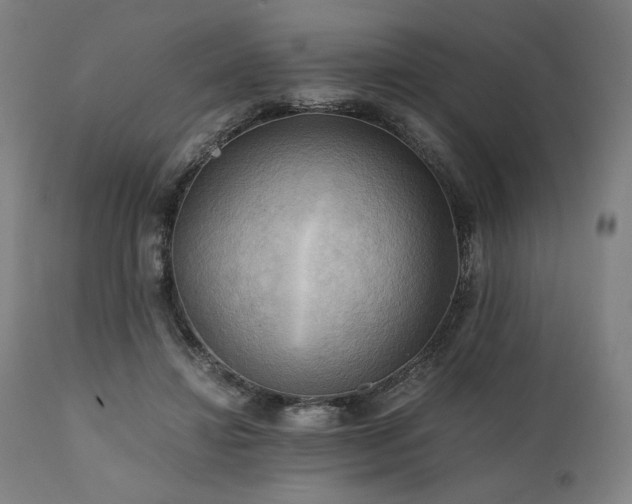 X0000111030452200906251309