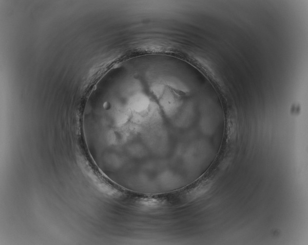 X0000111030453200906251309