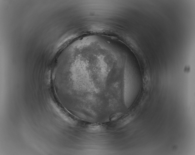 X0000111030454200906251309