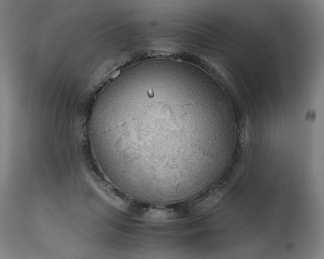 X0000111030455200906251309