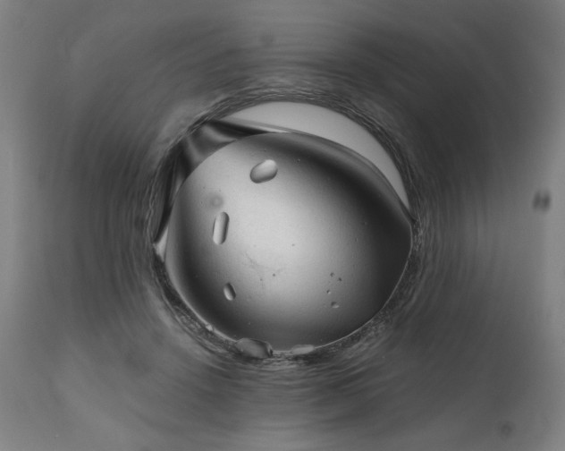 X0000111030456200906251309