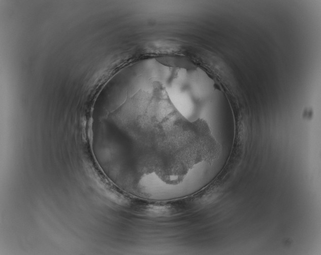 X0000111030457200906251309