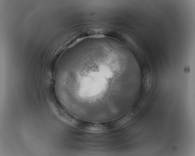 X0000111030459200906251309