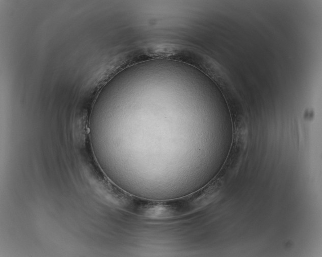 X0000111030460200906251309
