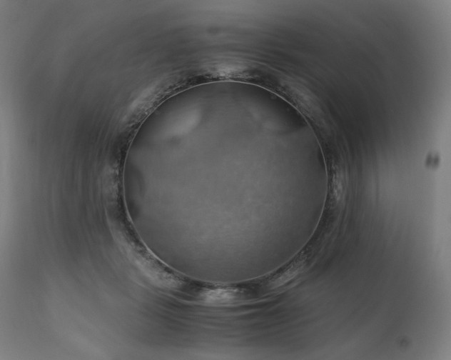 X0000111030461200906251309
