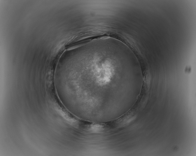 X0000111030462200906251309