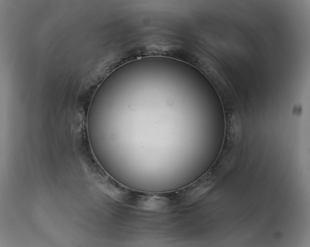 X0000111030463200906251309