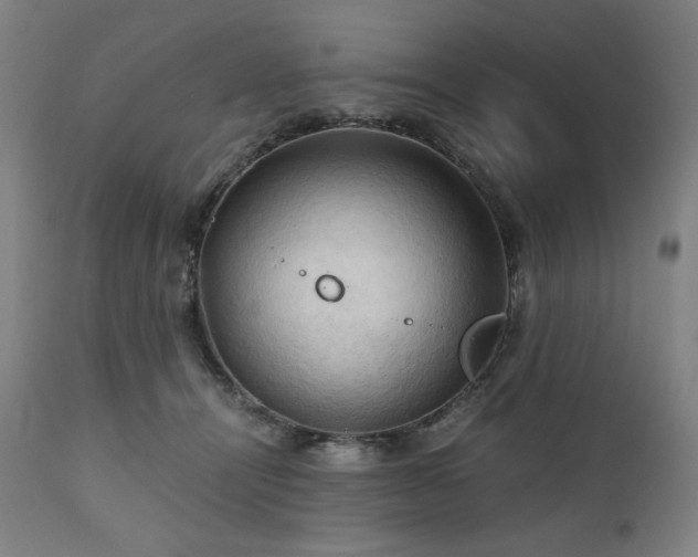 X0000111030464200906251309