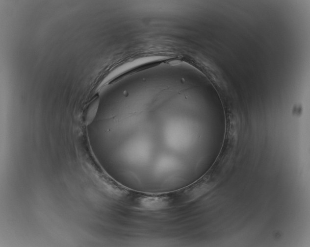 X0000111030465200906251309