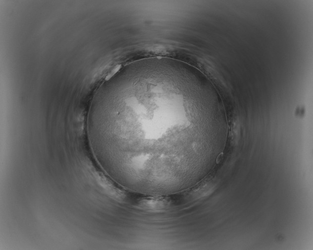 X0000111030466200906251309