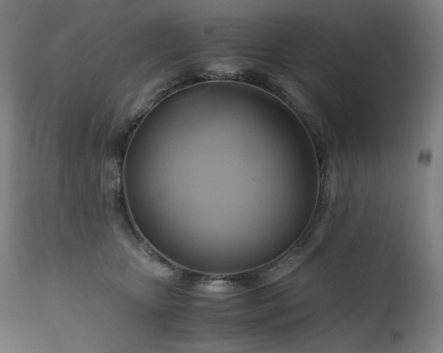 X0000111030467200906251309