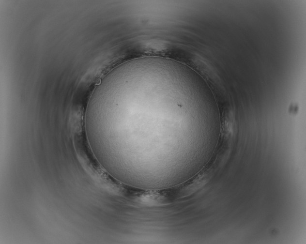 X0000111030468200906251309