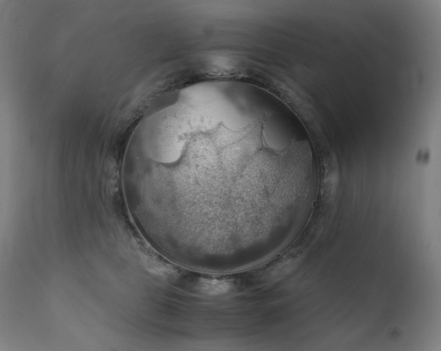 X0000111030469200906251309
