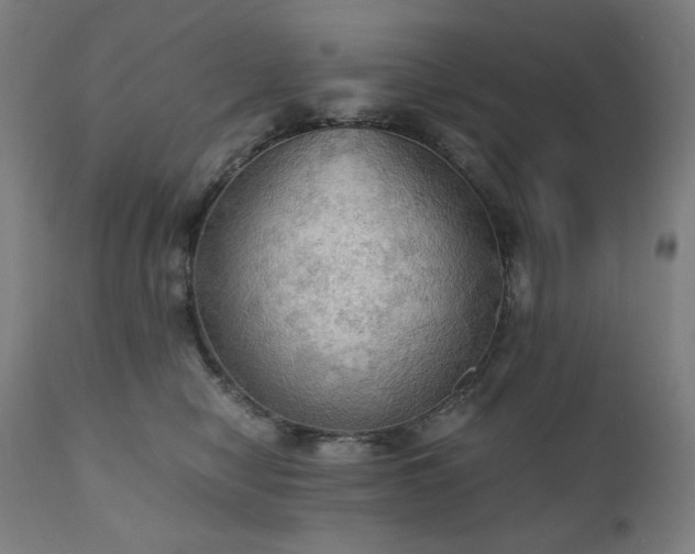 X0000111030470200906251309