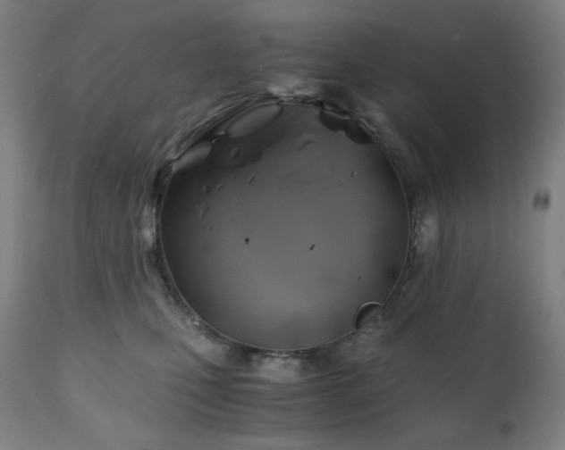 X0000111030471200906251309