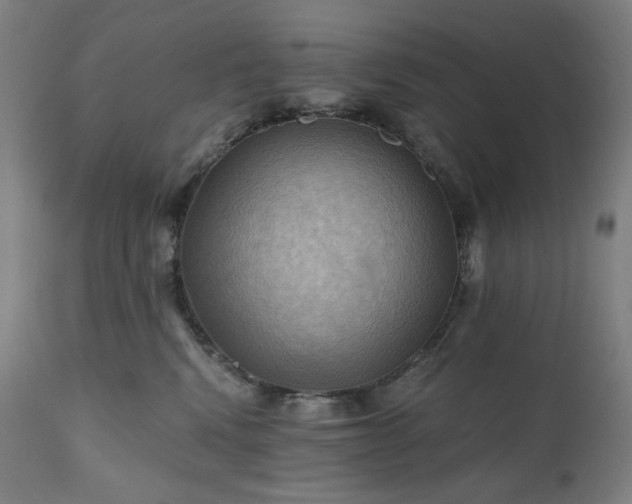 X0000111030472200906251309