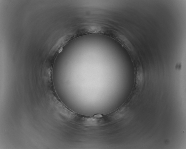 X0000111030473200906251309