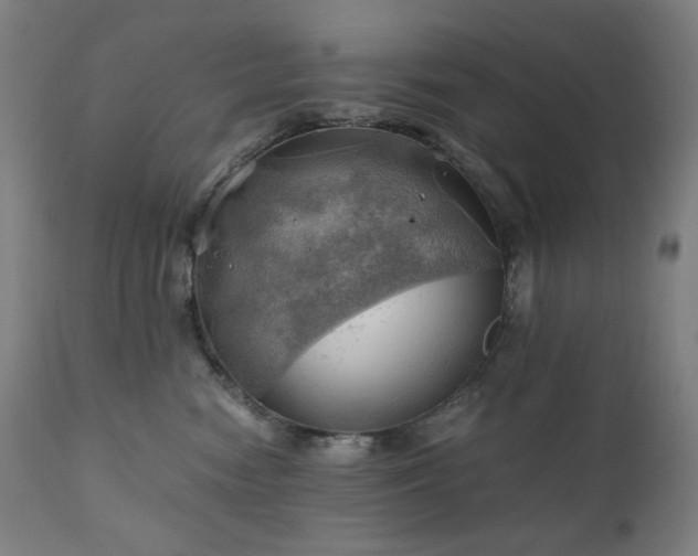 X0000111030474200906251309