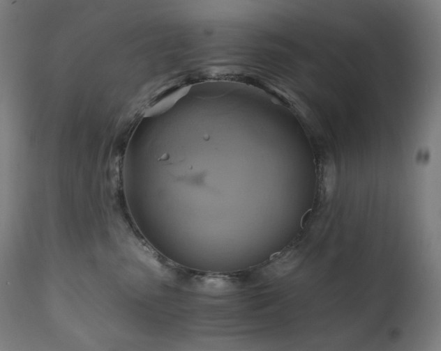 X0000111030475200906251309
