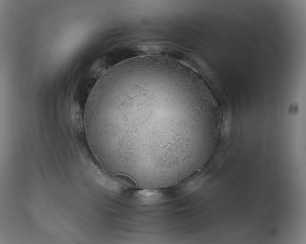 X0000111030477200906251309