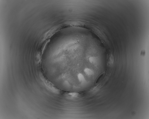 X0000111030478200906251309