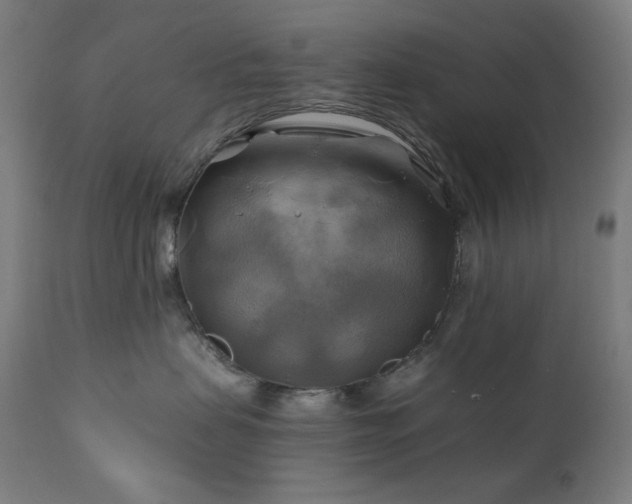 X0000111030479200906251309