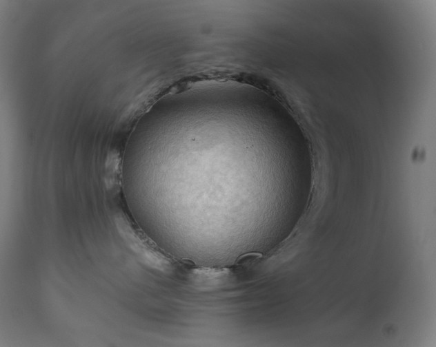 X0000111030480200906251309
