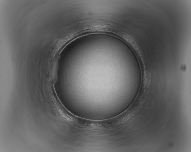 X0000111030481200906251308
