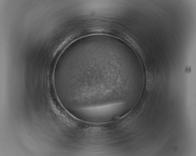 X0000111030482200906251308