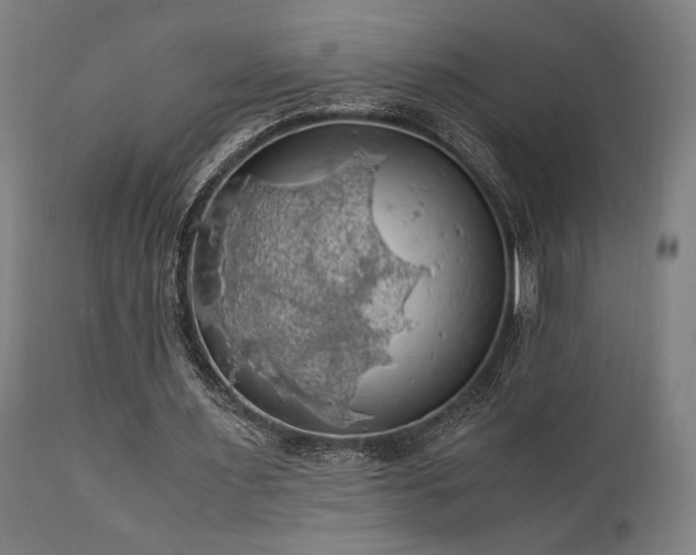 X0000111030483200906251308