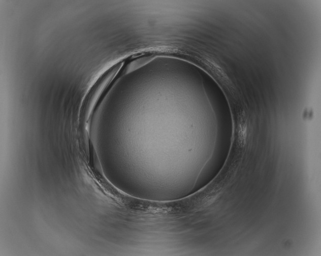 X0000111030484200906251308